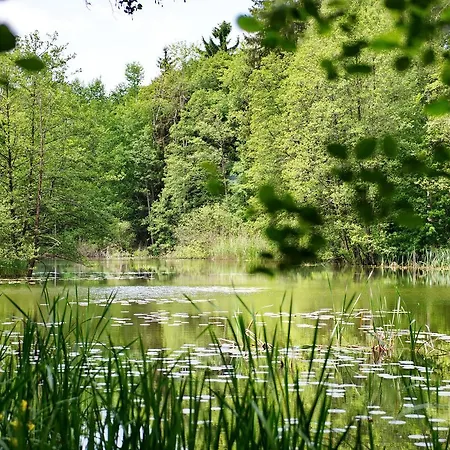 Bildungshaus Schloss Krastowitz מלון *