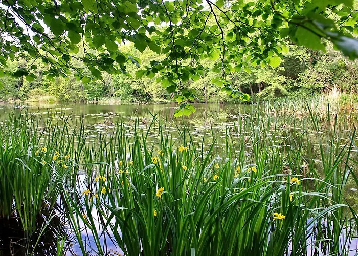 מלון Bildungshaus Schloss Krastowitz קלגנפורט